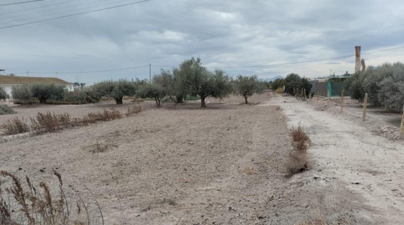 Murcia - Lorca - 5500m2