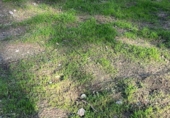 Land suitable for development for sale on España, Montcada i Reixac, ref: TR378550 photo