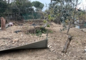 House with land for sale on España, Esparreguera, ref: TR298418 photo