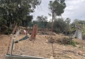 House with land for sale on España, Esparreguera, ref: TR298418 photo