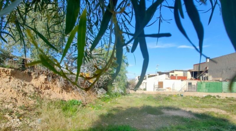 Alicante - Aspe - 378m2