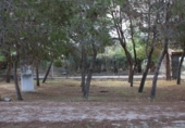 Terreny no urbanitzable en venda a la España, Molina de Segura, ref.: TR344651 foto