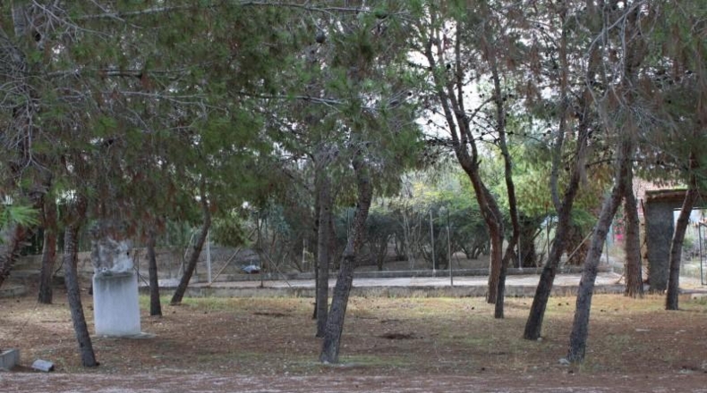 Murcia - Molina de Segura - 1075m2