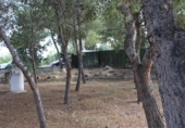 Terreny no urbanitzable en venda a la España, Molina de Segura, ref.: TR344651 foto
