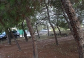 Terreny no urbanitzable en venda a la España, Molina de Segura, ref.: TR344651 foto