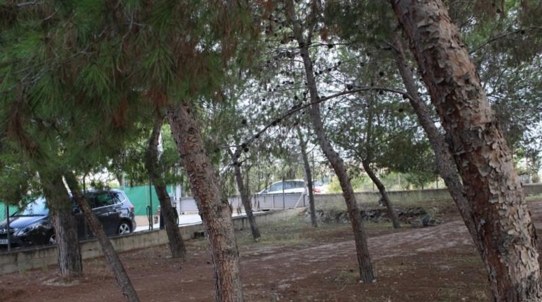 Murcia - Molina de Segura - 1075m2