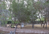 Terreny no urbanitzable en venda a la España, Molina de Segura, ref.: TR344651 foto
