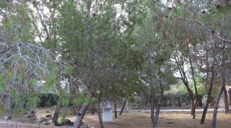 Murcia - Molina de Segura - 1075m2