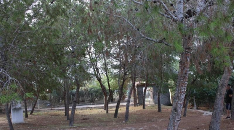Murcia - Molina de Segura - 1075m2