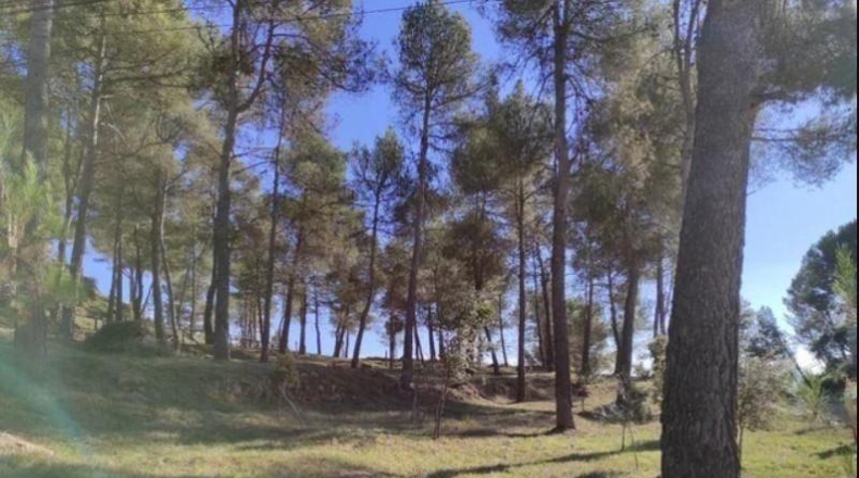 Barcelona - Castellnou de Bages - 604m2