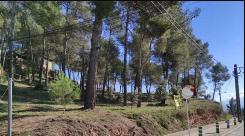 Barcelona - Castellnou de Bages - 604m2