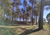 Terreno no urbanizable en venta en la España, Castellnou de Bages, ref: TR381950 foto