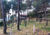 Terreno no urbanizable en venta en la España, Castellnou de Bages, ref: TR381950 foto