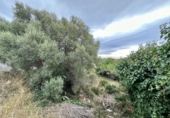 Sòl urbà en venda a la España, el Vendrell, ref.: TR121738 foto
