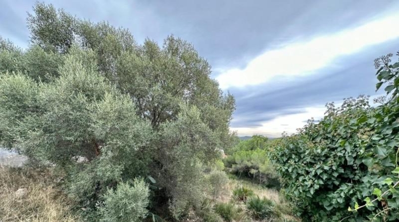 Tarragona - el Vendrell - 891m2