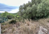 Sòl urbà en venda a la España, el Vendrell, ref.: TR121738 foto