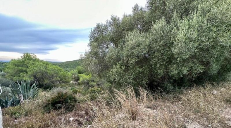 Tarragona - el Vendrell - 891m2
