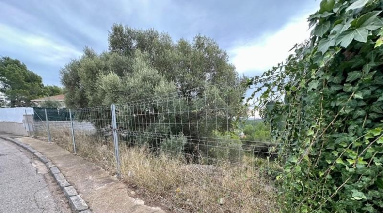 Tarragona - el Vendrell - 891m2