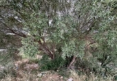 Sòl urbà en venda a la España, el Vendrell, ref.: TR121738 foto