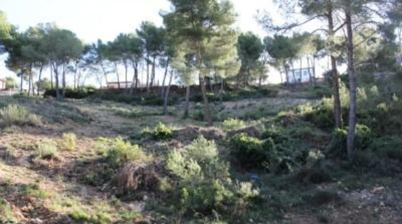 Barcelona - Canyelles - 509m2