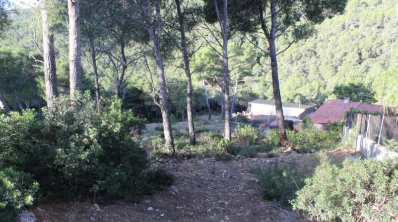 Barcelona - Canyelles - 496m2