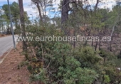 Parcel·la urbanitzable en venda a la España, Canaletes, ref.: TR126418 foto