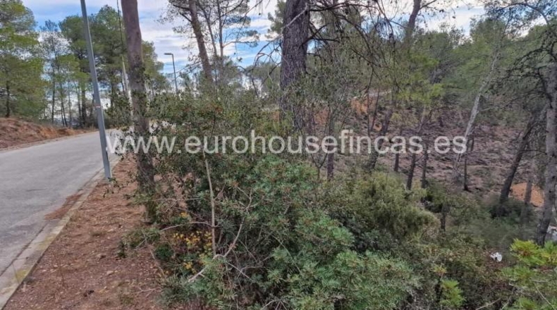 Barcelona - Canaletes - 1331m2