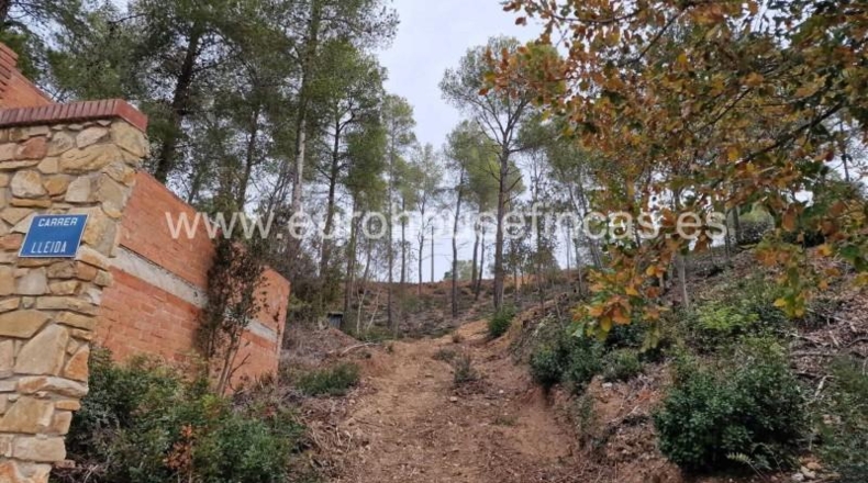 Barcelona - Canaletes - 1331m2