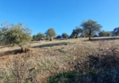 Terreno no urbanizable en venta en la España, Tolox, ref: TR126447 foto