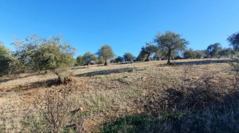 Málaga - Tolox - 15862m2