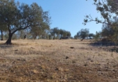 Terreno no urbanizable en venta en la España, Tolox, ref: TR126447 foto