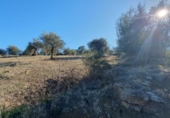 Terreno no urbanizable en venta en la España, Tolox, ref: TR126447 foto