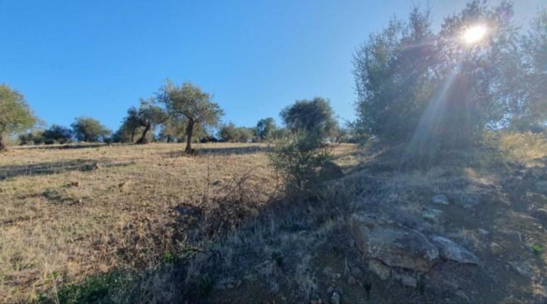 Málaga - Tolox - 15862m2