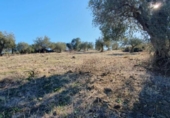 Terreno no urbanizable en venta en la España, Tolox, ref: TR126447 foto