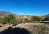 Terreno no urbanizable en venta en la España, Tolox, ref: TR126447 foto