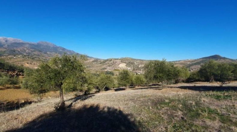 Málaga - Tolox - 15862m2