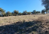Terreno no urbanizable en venta en la España, Tolox, ref: TR126447 foto
