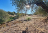 Terreno no urbanizable en venta en la España, Tolox, ref: TR126447 foto