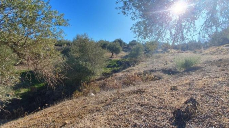 Málaga - Tolox - 15862m2