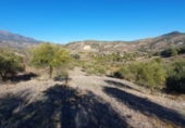 Terreno no urbanizable en venta en la España, Tolox, ref: TR126447 foto