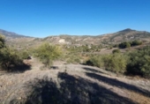 Terreno no urbanizable en venta en la España, Tolox, ref: TR126447 foto