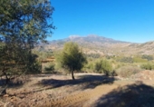 Terreno no urbanizable en venta en la España, Tolox, ref: TR126447 foto