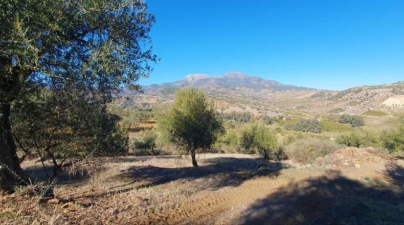 Málaga - Tolox - 15862m2