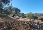 Terreno no urbanizable en venta en la España, Tolox, ref: TR126447 foto