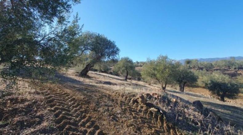 Málaga - Tolox - 15862m2
