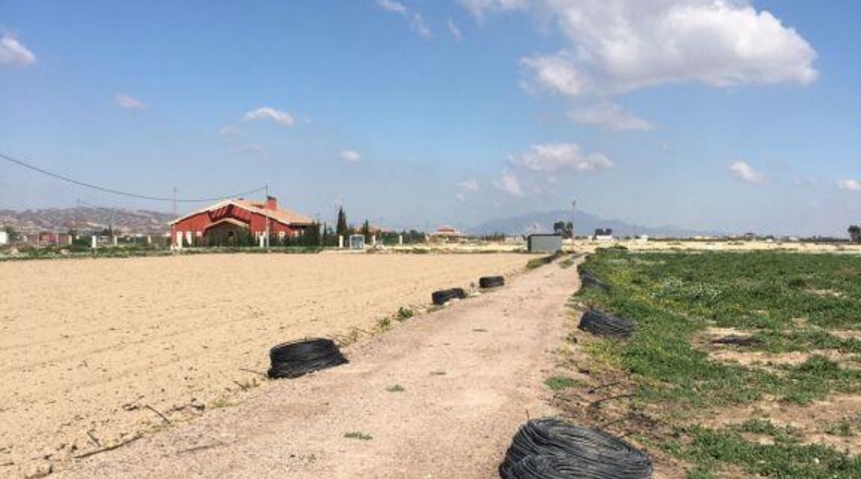 Múrcia - Lorca - 5000m2