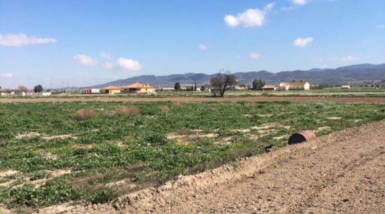 Múrcia - Lorca - 5000m2