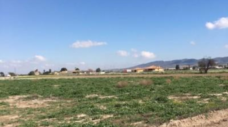 Múrcia - Lorca - 5000m2