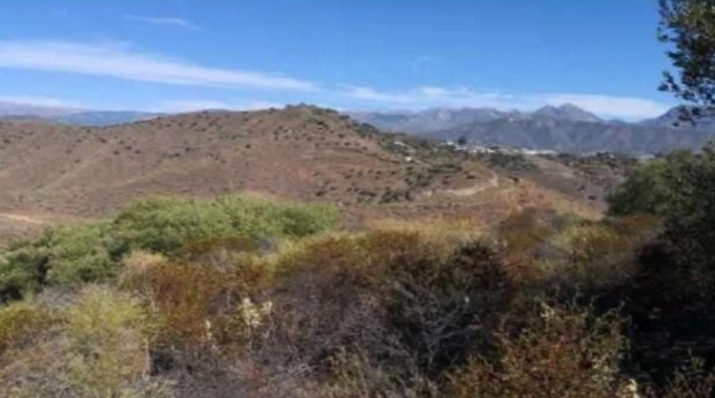 Malaga - Torrox - 7751m2