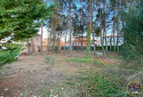 Chillarón de Cuenca 774&nbsp;m²